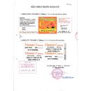 thuoc vitamin c 250mg duoc nic pharma 2 L4414 130x130px