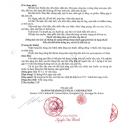 thuoc xedulas 200mg 4 T7686 130x130px