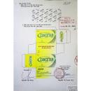 thuoc zancetam 800mg 2 G2467 130x130px