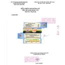 tieu nhi kinh phong tan 3 T7321 130x130px