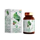 tinh mach don nosa 3 B0361 130x130px