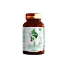 tinh mach don nosa 6 K4325 130x130px