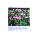 tra sen natur boutique 4 V8267 130x130px