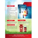 trang moc viet 5 V8540 130x130px