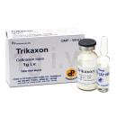 trikaxon2 P6483 130x130