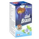 uni brain univiva 3 J3577 130x130px