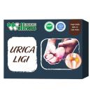 urica ligi 2 Q6572 130x130px