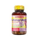 uterus ulcer support mediusa 2 C0722 130x130px