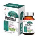 vibona 1 N5873 130x130px