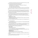 viciclav 4 C0367 130x130px