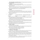 viciclav 5 J3004 130x130px