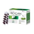 vien bo gan cuoc song xanh 1 T7344 130x130px