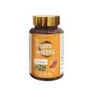 vien da day dong phuong 4 N5054 130x130px