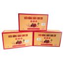 vien hong sam linh chi tvx 1 R7747 130x130px