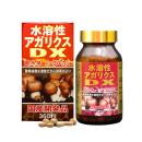 vien nam agaricus dx 1 Q6554 130x130px