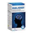 vien uong brain memory 2 M5646 130x130px