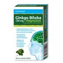 vitaday ginkgo biloba 120mg magnesium 1 G2247 130x130px