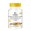 warnke cordyceps extrakt 500mg 6 Q6117 130x130px