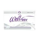 well gsv 2 U8677 130x130px