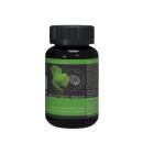 wellforce brain 3 C0864 130x130px