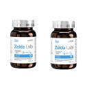 zelda lab 4 N5805 130x130px