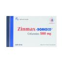 zinmax domesco 500mg 2 E1534 130x130px