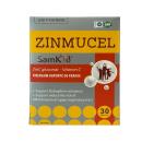 zinmucel samkid 2 J3332 130x130px