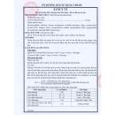 zyncy tt 10mg 3 E1518 130x130px