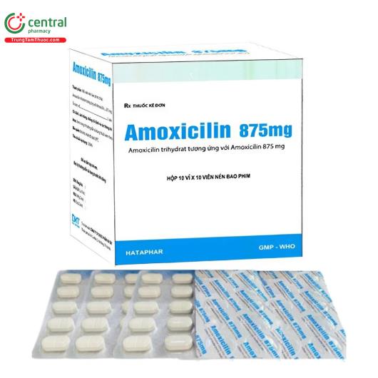 amoxicilin 875 mg G2181