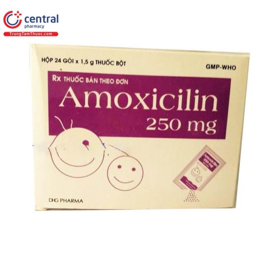 amoxicillin 250mg dhg P6123
