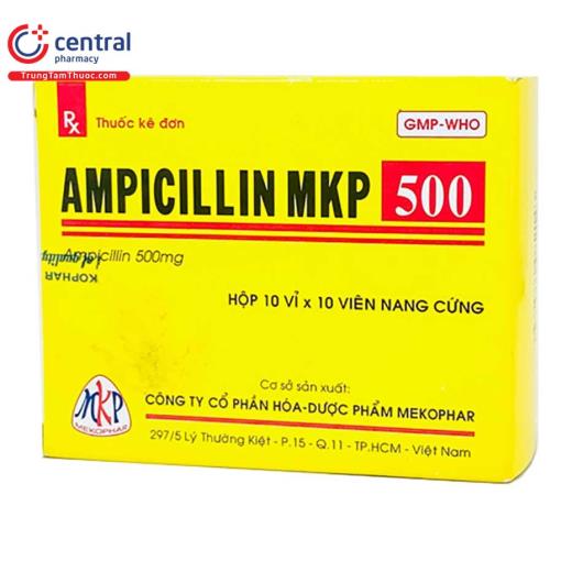 ampicillin mkp 500 1 D1846