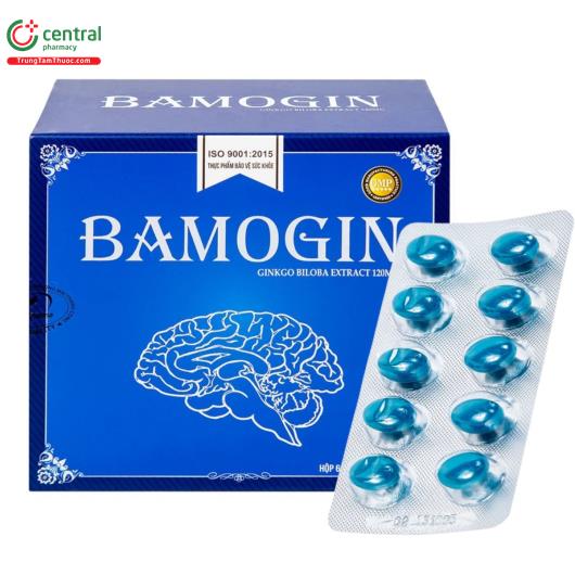 bamogin 2 B0360