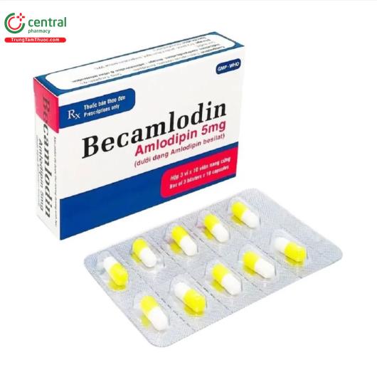 becamlodin 5mg 1 G2002