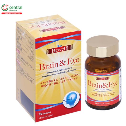 bewel brain eye 1 R6381