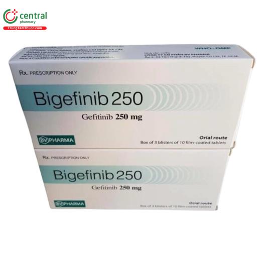 bigefinib 250 anh 2 I3627