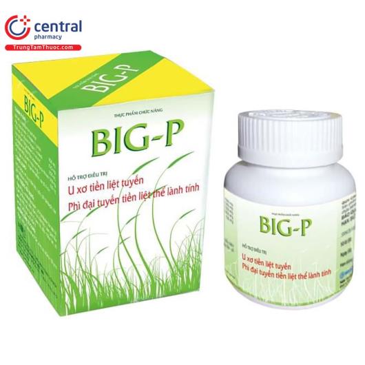 bigp A0405