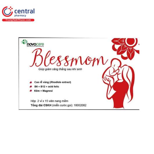 blessmom 1 N5751