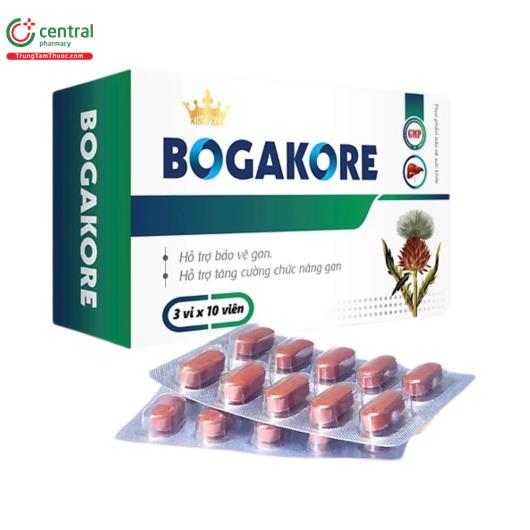 bogakore 6 E2780