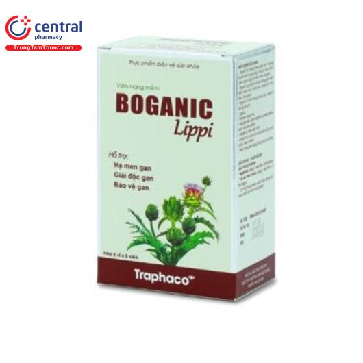 boganic V8216