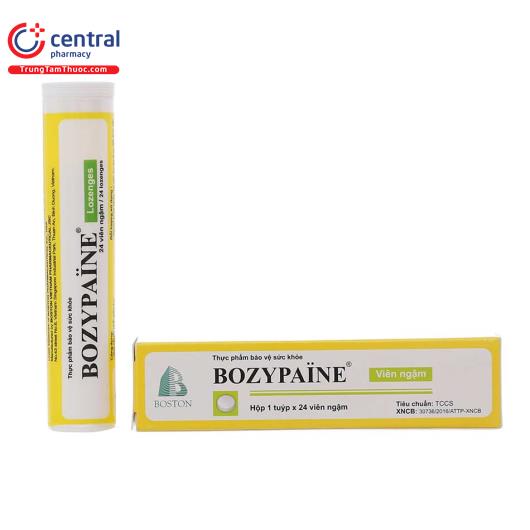 bozypaine 1 E1626