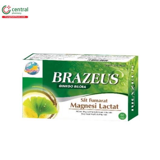 brazeus 2 K4008