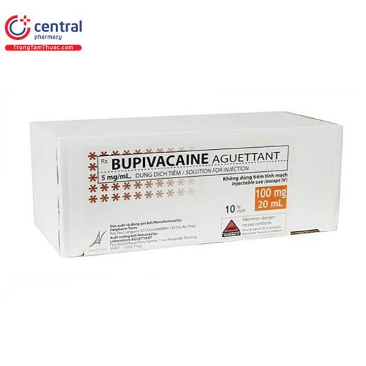 bupivacaine aguettant 5mg ml 1 O6108