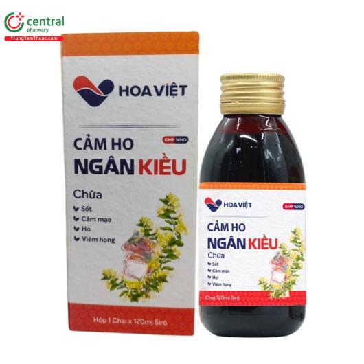 cam ho ngan kieu 11 V8512