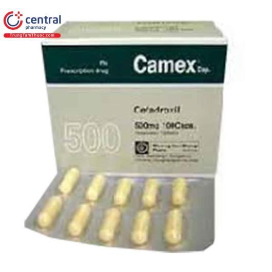 camex 500mg 1 P6081