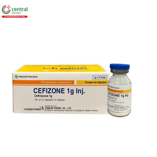 cefizone 1g inj 1 P6174