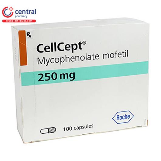 cellcept 250mg 1 J4341