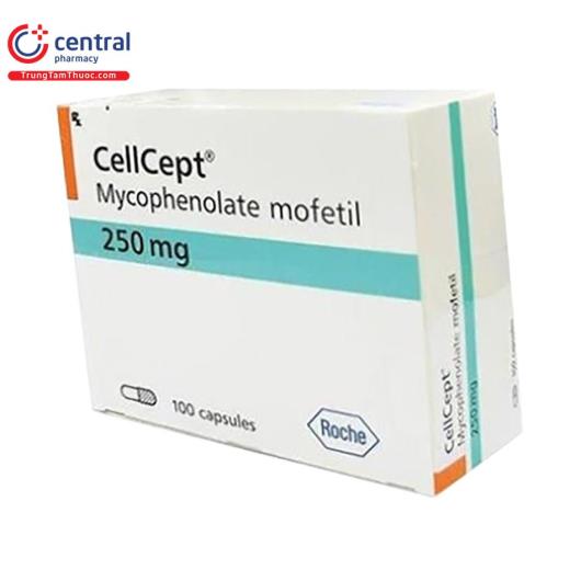 [CHÍNH HÃNG] Thuốc CellCept 250mg - Dự phòng thải ghép cho ghép thận