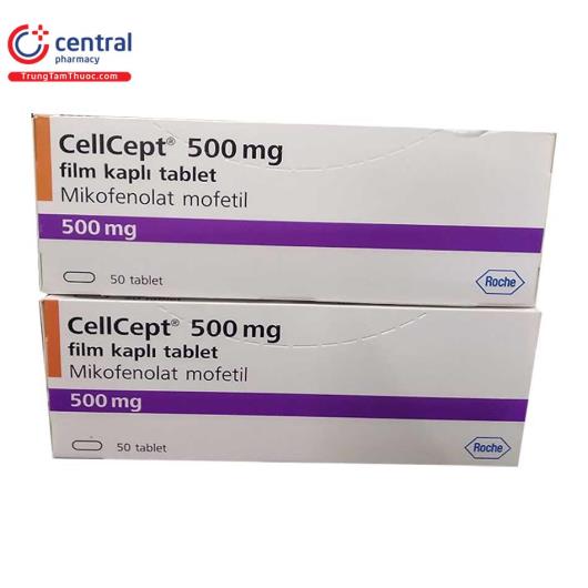 cellcept 500m 1 H3100