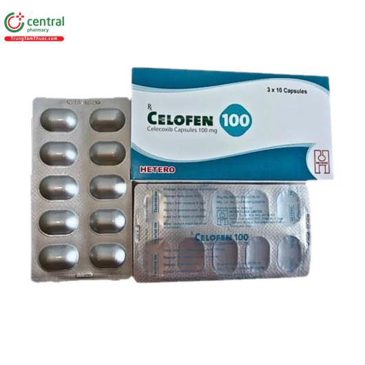 celofen 100 1 U8213