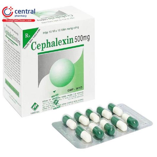 cephalexin 500mg vidipha 1 E1060